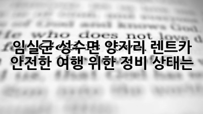 임실군 성수면 양지리 렌트카, 안전한 여행 위한 정비 상태는?