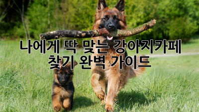 나에게 딱 맞는 강아지카페 찾기 완벽 가이드
