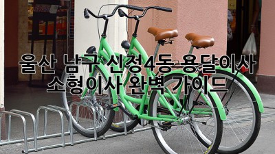 울산 남구 신정4동 용달이사, 소형이사 완벽 가이드!
