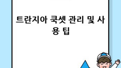 트란지아 쿡셋: 완벽 가이드