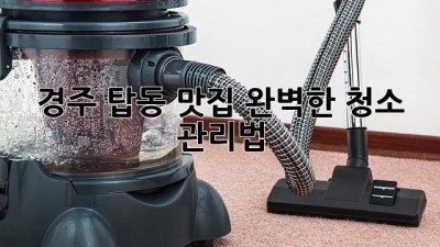 경주 탑동 맛집, 완벽한 청소 관리법